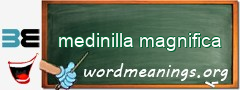 WordMeaning blackboard for medinilla magnifica